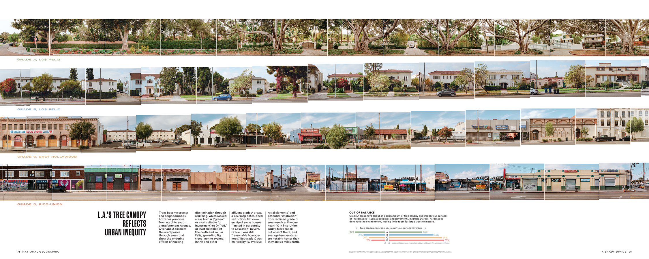 “L.A.’s Tree Canopy Reflects Urban Inequity,” photograph by Elliot Ross, July